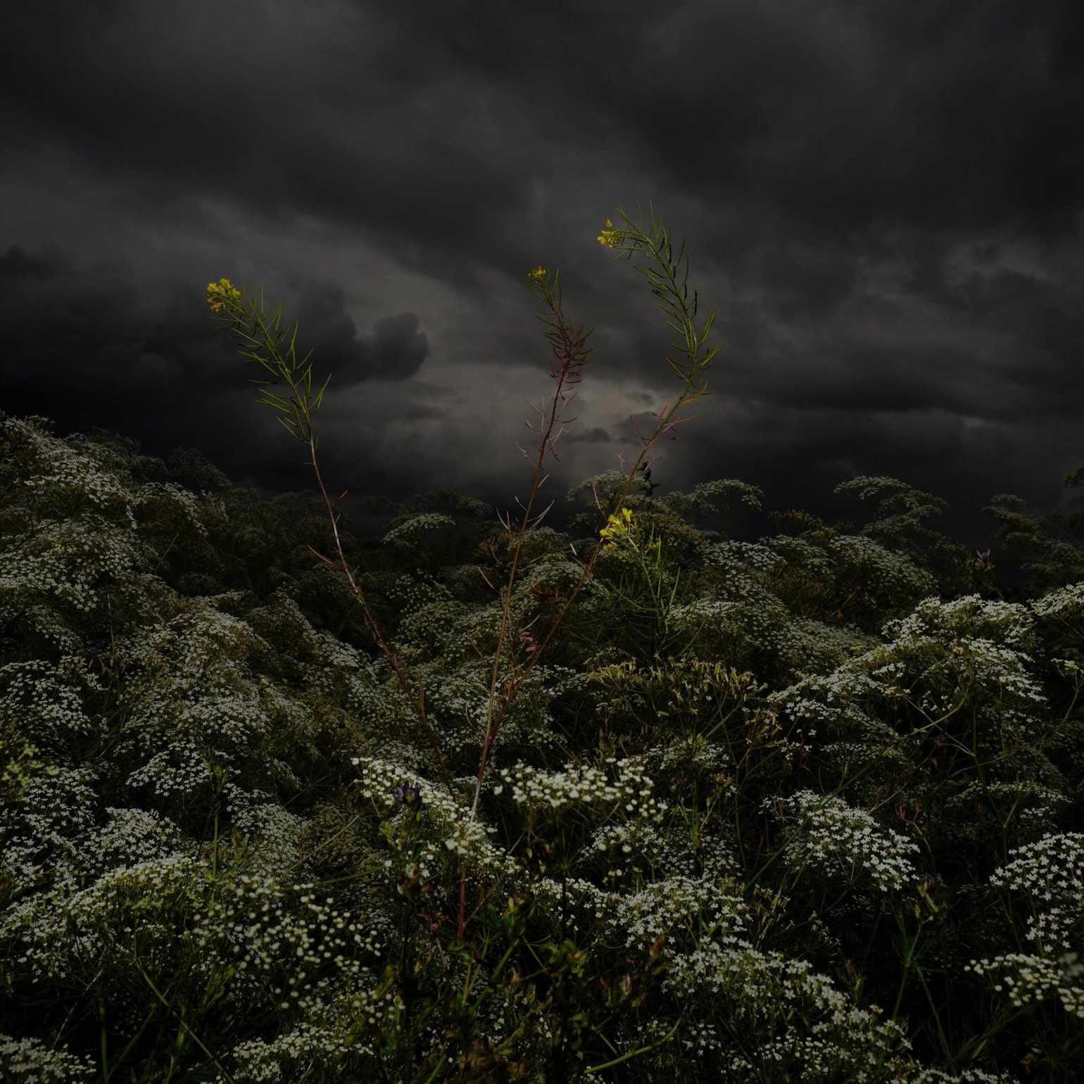 Grant Simon Rogers