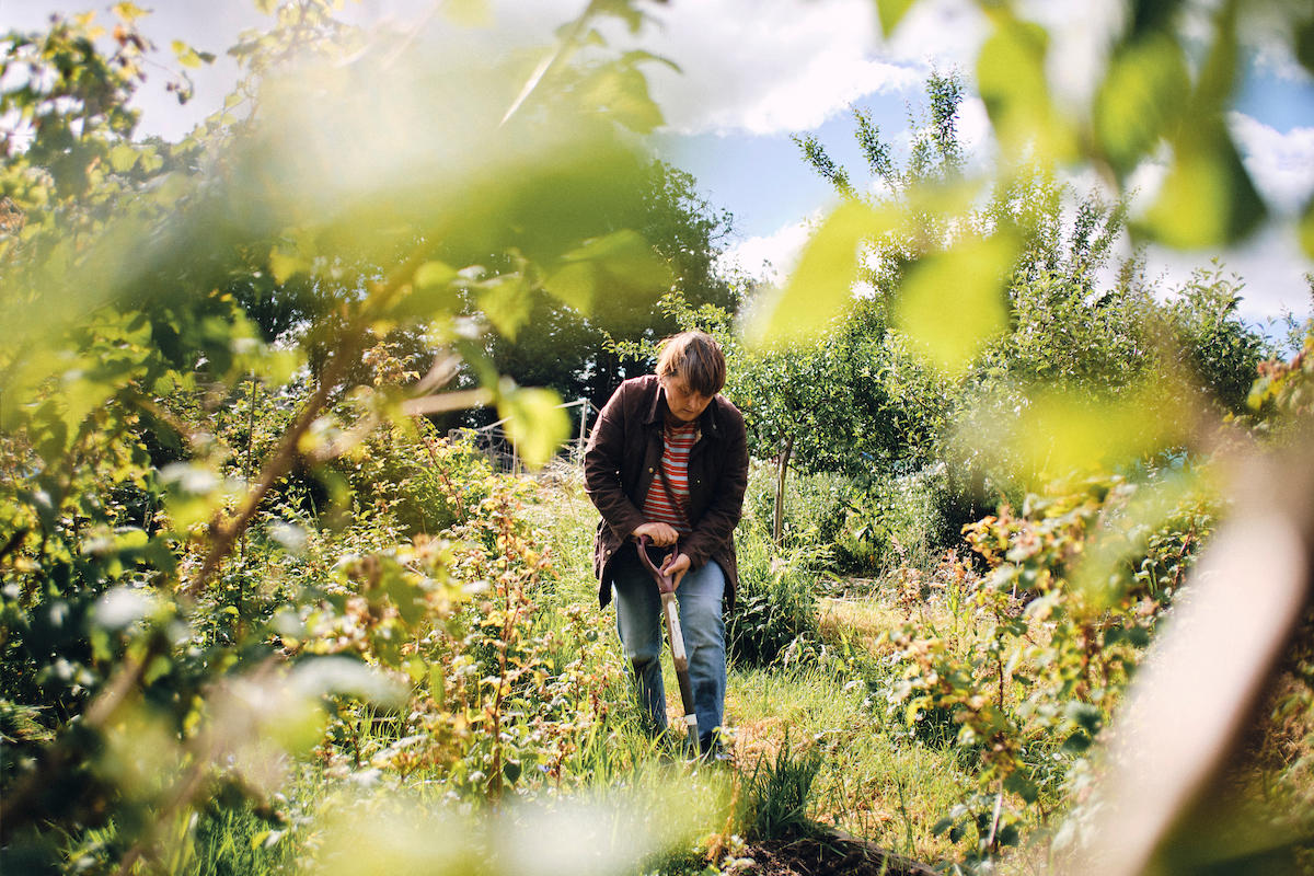 Greg Funnell: Work for the Food, Farming and Countryside Commission 