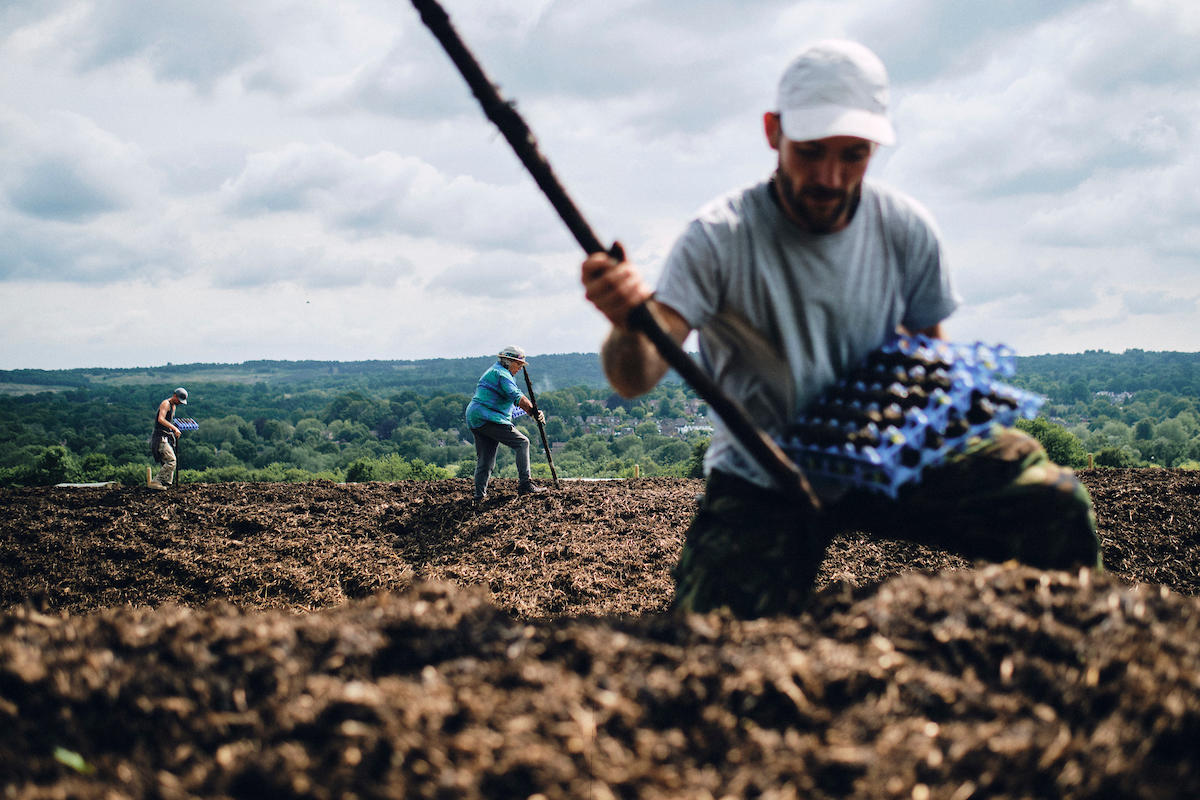 Greg Funnell: Work for the Food, Farming and Countryside Commission 